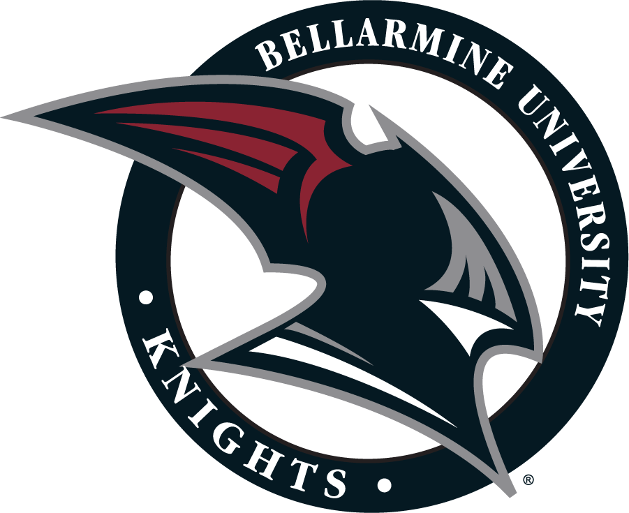 Bellarmine Knights 2004-2010 Alternate Logo v2 DIY iron on transfer (heat transfer)